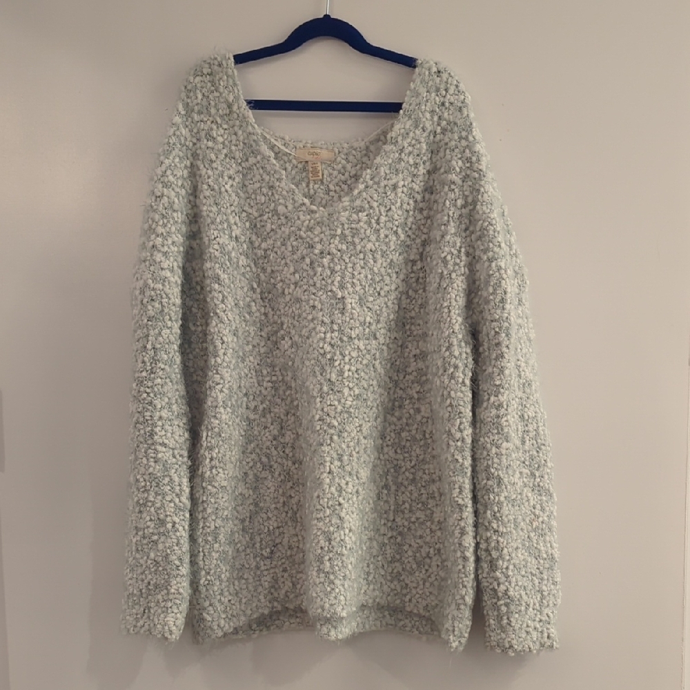 Cupio Women's Sweater in Light Gray